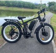 Tuttio Seeker24  Dual Motor Electric Bike - UL Certification - Image 4