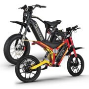 Tuttio Electric Bike Combo ICT & ARC-I